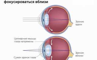 Что означает объём аккомодации