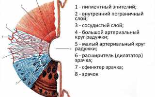 От чего зависит и как изменить цвет глаз: действенные методики