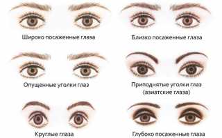 Какие типы глаз существуют у человека