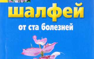 Шалфей от 100 болезней
