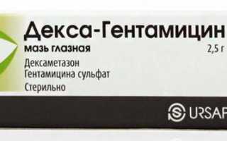 Инструкция по применению препарата Декса-Гентамицин
