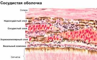 Что такое сосудистая оболочка глаза и что с ней может быть не так
