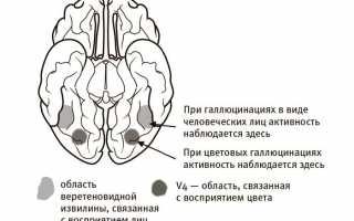 Что и как видят слепые